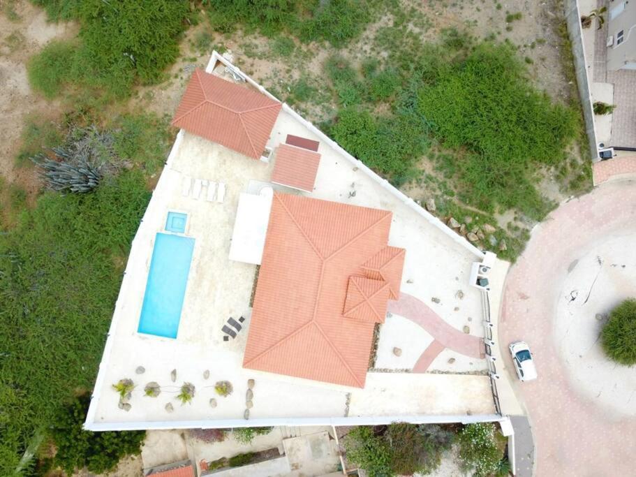 Jolie Villa Entire Villa In Noord, Aruba Palm Beach Buitenkant foto